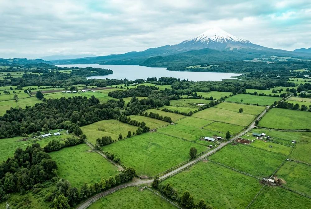 Compra de Terreno Agrícola